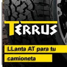 Articulos de la marca TERRUS en GATOESCARLATA