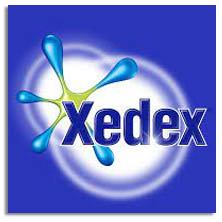 Items of brand XEDEX in GATOESCARLATA